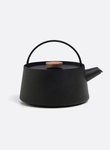 Iron kettle nambu tekki